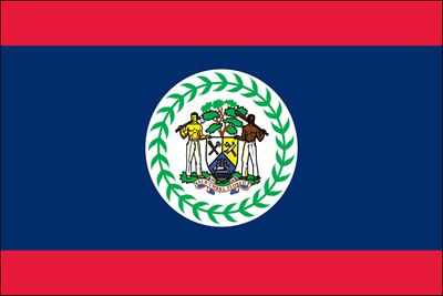 Belize UN Flag