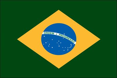 Brazilian Nylon Flag