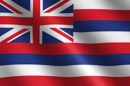 Hawaii State Flag