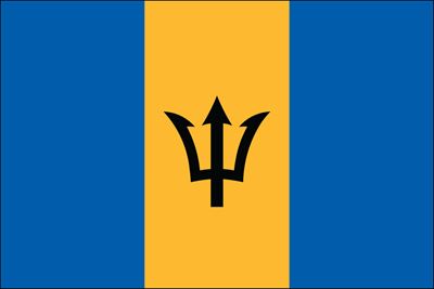 Barbados UN Flag