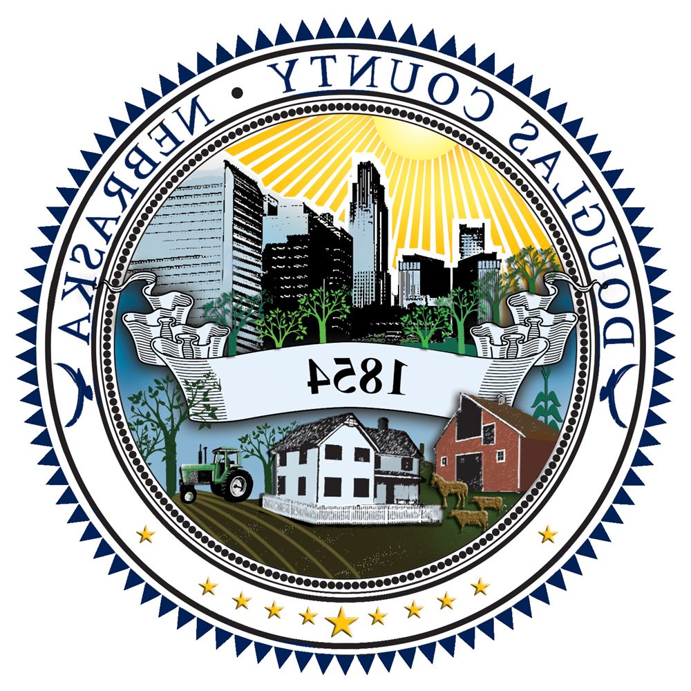 Custom Flags-S/R Back