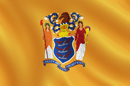 New Jersey State Flag