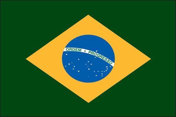 Brazilian Nylon Flag