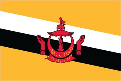 Brunei UN Flag