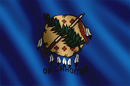 Oklahoma State Flag