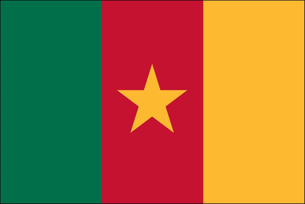 Cameroon Nylon Flag
