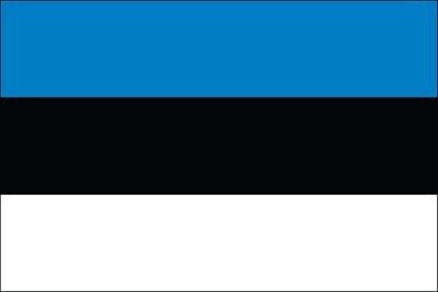 Estonia UN Flag