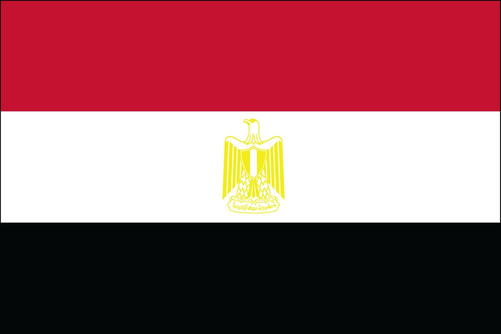 Egypt Nylon Flag
