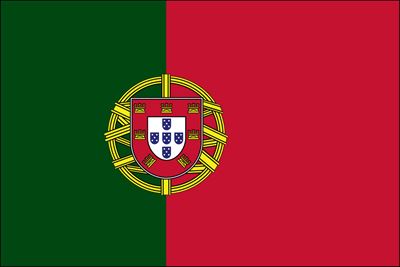 Portugal UN Flag