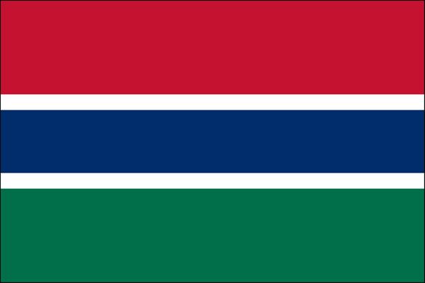 Gambia UN Flag