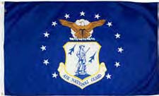 Air National Guard Flag