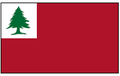 Continental Historical Flag