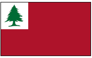 Continental Historical Flag