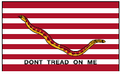 1St Navy Jack Historical Flag