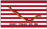 1St Navy Jack Historical Flag