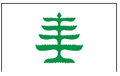 Pine Tree Historical Flag