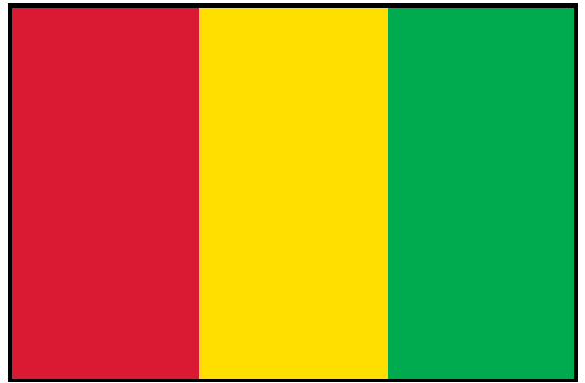 GUINEA (UN) Outdoor Flag