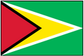GUYANA (UN/OAS) Outdoor Flag