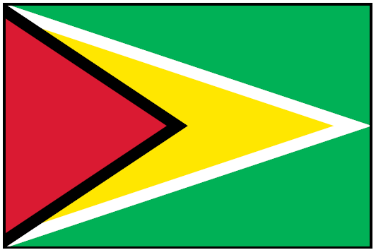 GUYANA (UN/OAS) Outdoor Flag