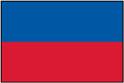 HAITI (NO SEAL) Outdoor Flag