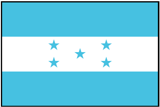 HONDURAS (UN/OAS) Outdoor Flag
