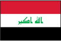 IRAQ (UN) Outdoor Flag
