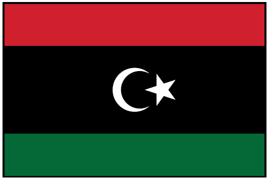 LIBYA (UN) Outdoor Flag