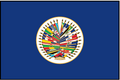 OAS Outdoor Flag
