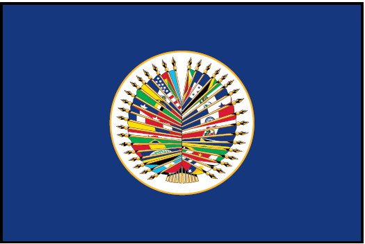 OAS Outdoor Flag