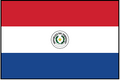 PARAGUAY (UN/OAS) Outdoor Flag