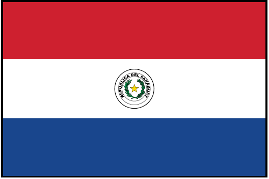 PARAGUAY (UN/OAS) Outdoor Flag