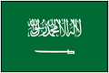 SAUDI ARABIA (UN) Outdoor Flag