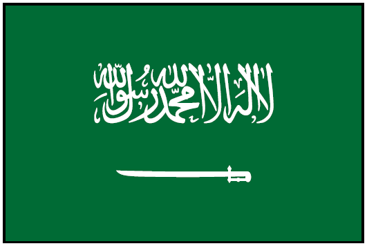 SAUDI ARABIA (UN) Outdoor Flag