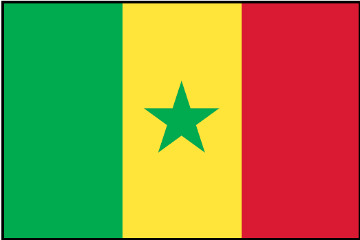 SENEGAL (UN) Outdoor Flag