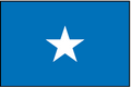 SOMALIA (UN) Outdoor Flag