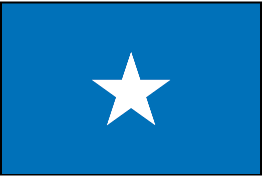 SOMALIA (UN) Outdoor Flag