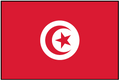 TUNISIA (UN) Outdoor Flag