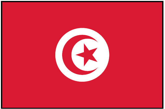 TUNISIA (UN) Outdoor Flag