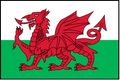 WALES Outdoor Flag