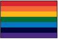 WORLD CO-OP Outdoor Flag