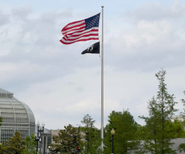 Sentry Series Flagpoles