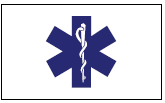 Civilian Service Flag - Star of Life