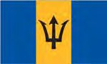 BARBADOS (UN/OAS) Outdoor Flag