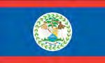 BELIZE (UN/OAS) Outdoor Flag