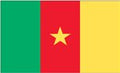 CAMEROON (UN) Outdoor Flag