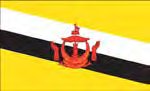 BRUNEI (UN) Outdoor Flag