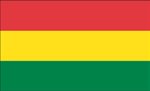 BOLIVIA (NO SEAL) Outdoor Flag